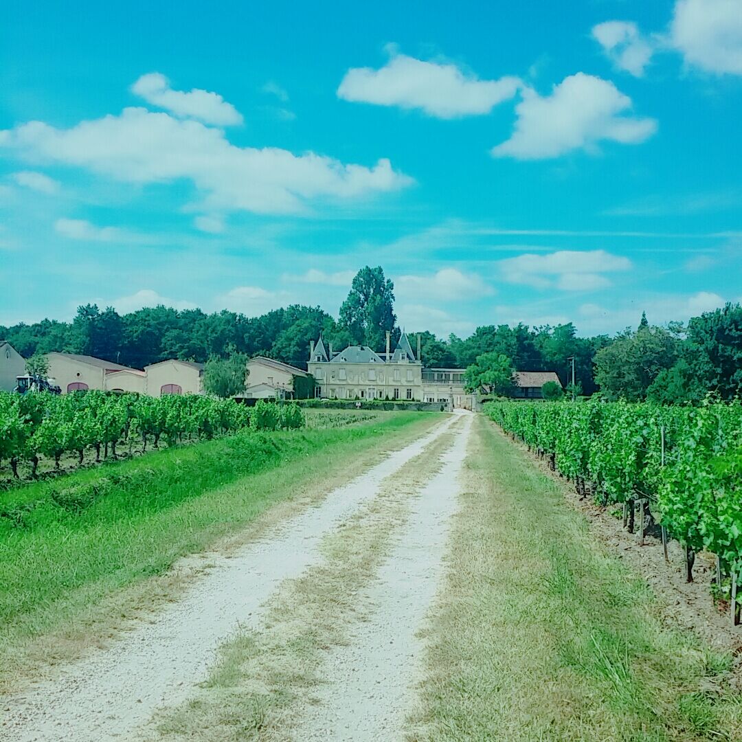 Chateau Meyre Avensan Exteriör bild
